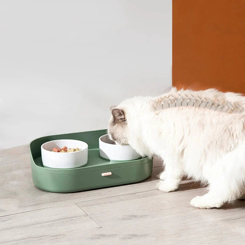 Bol Céramique Double Design Pour Chien