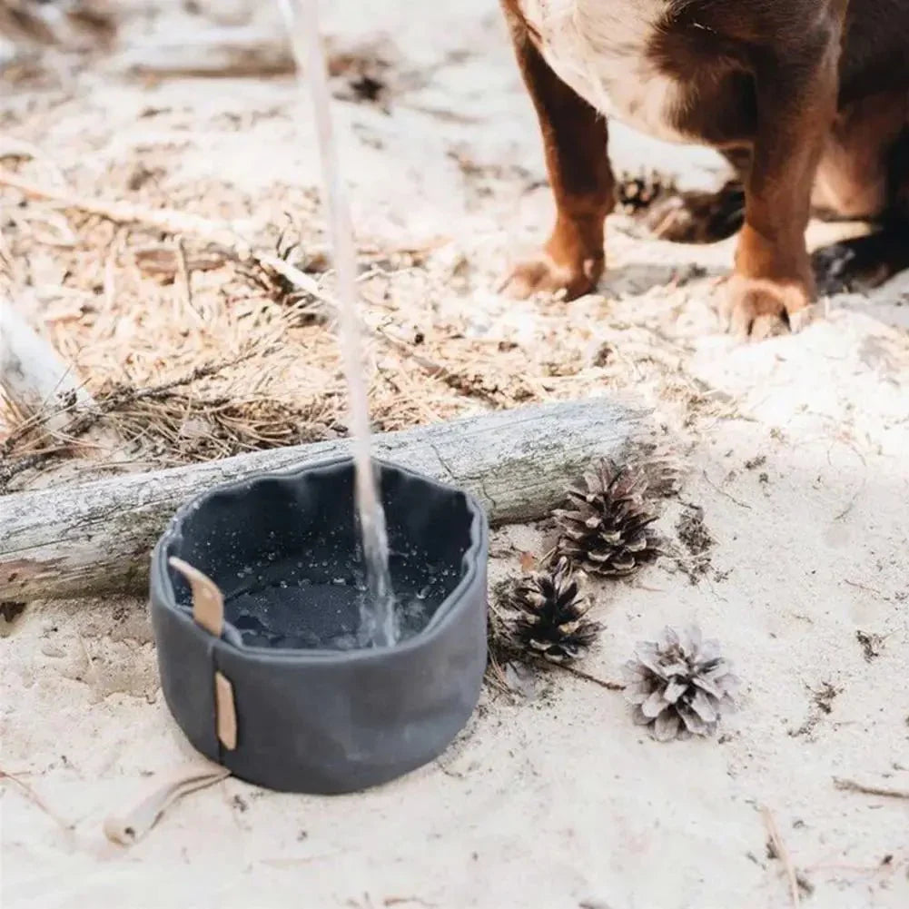 Bol En Toile Étanche Pliable Pour Chat Et Chien