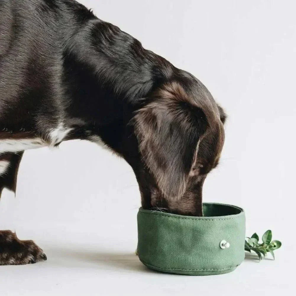 Bol En Toile Étanche Pliable Pour Chat Et Chien