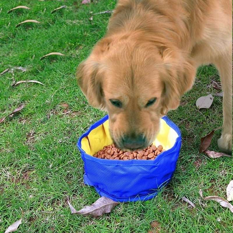 Bol Portable De Voyage Pour Chien Pliable