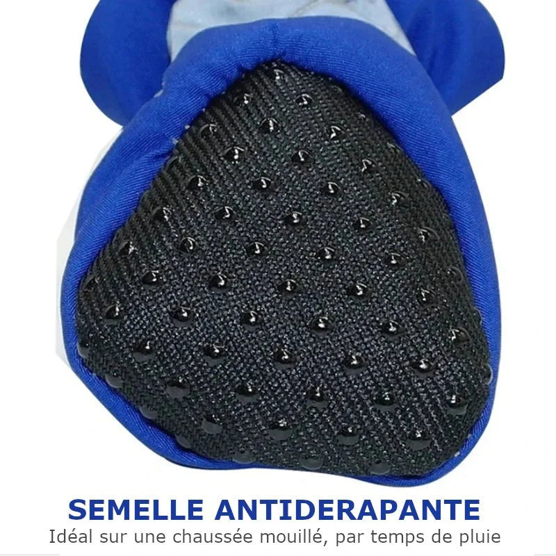 Botte de Protection pour Chien