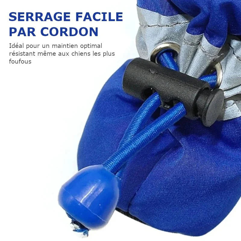Botte de Protection pour Chien