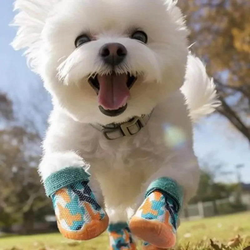 Botte d'Été pour Chien