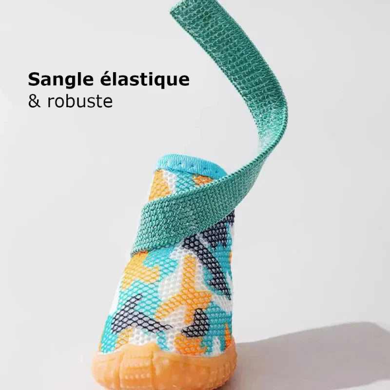 Botte d'Été pour Chien
