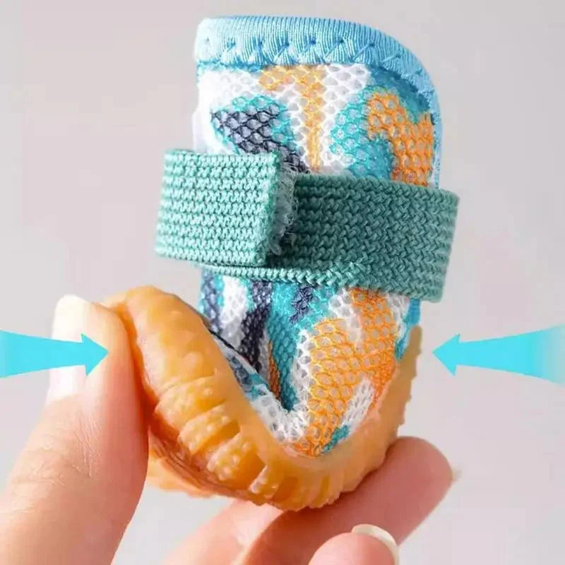 Botte d'Été pour Chien