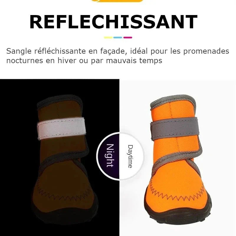 Bottes Caoutchouc pour Chien