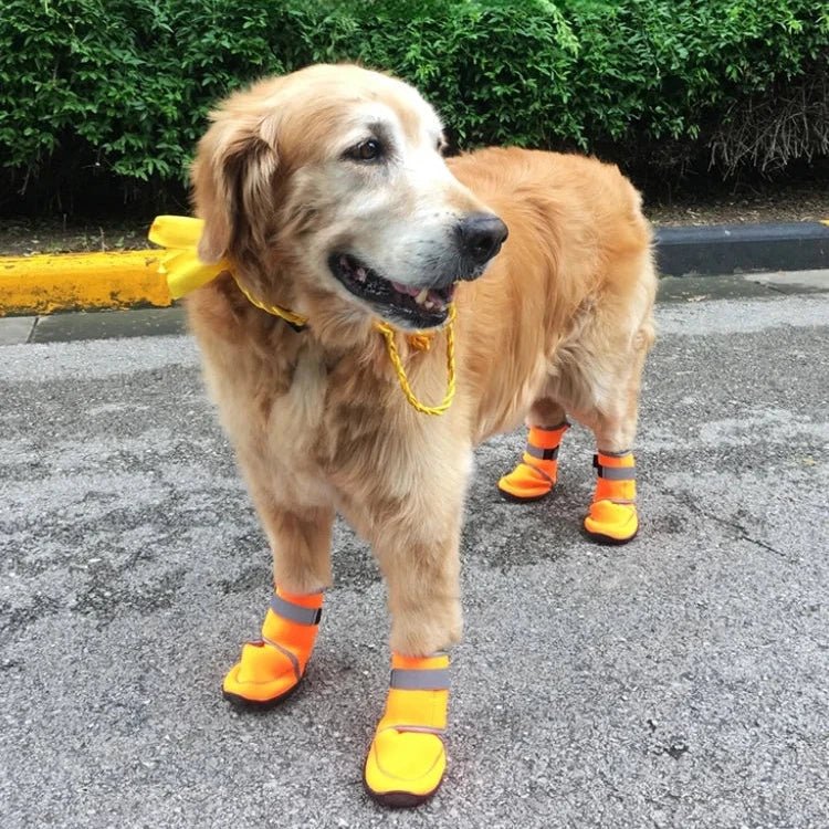 Bottes Caoutchouc pour Chien