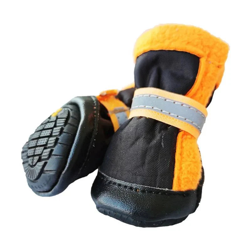Bottes Chien Hiver
