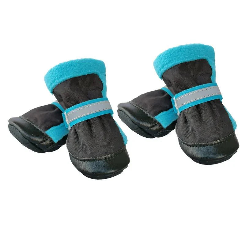 Bottes Chien Hiver bleu
