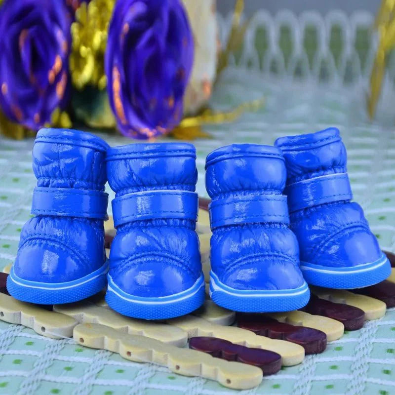 Bottes Chien Traineau