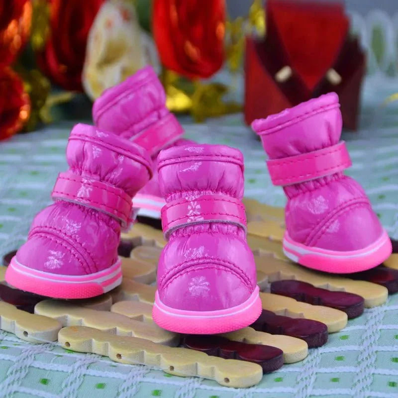 Bottes Chien Traineau Violet