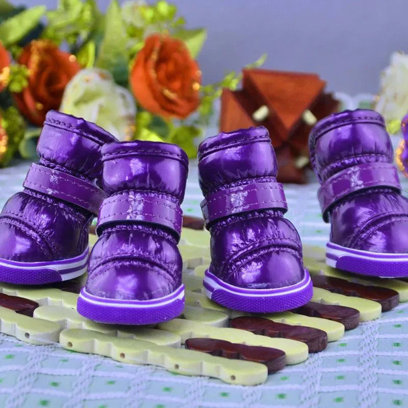 Bottes Chien Traineau