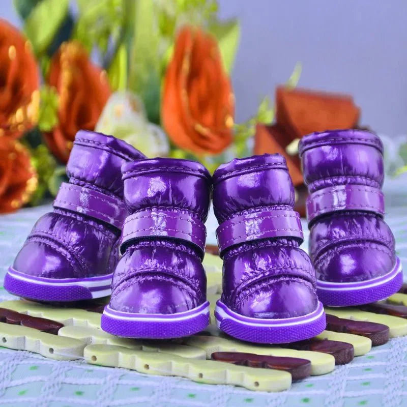 Bottes Chien Traineau