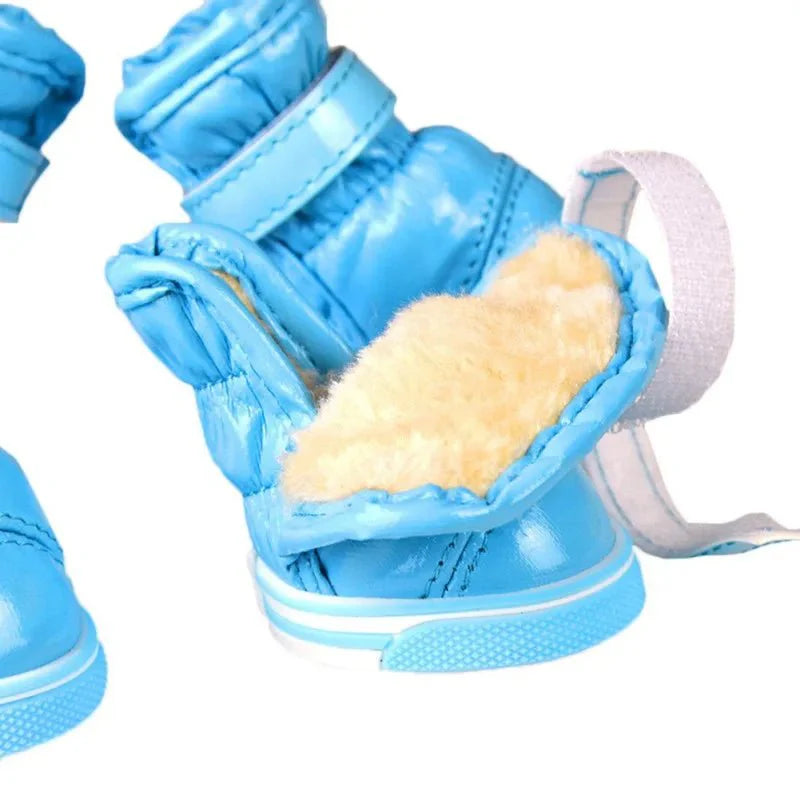 Bottes Chien Traineau