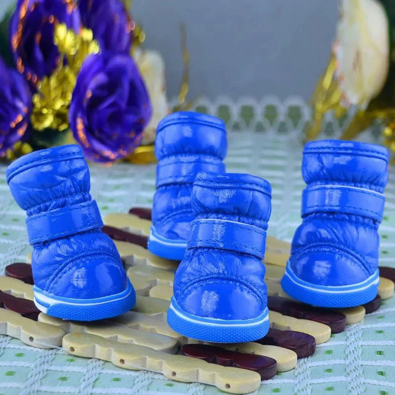 Bottes Chien Traineau