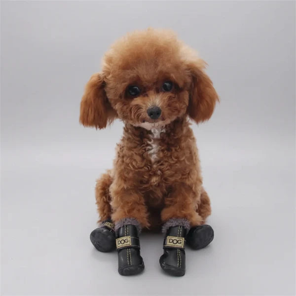 Bottes Fourrées Confortables Pour Petit Chien