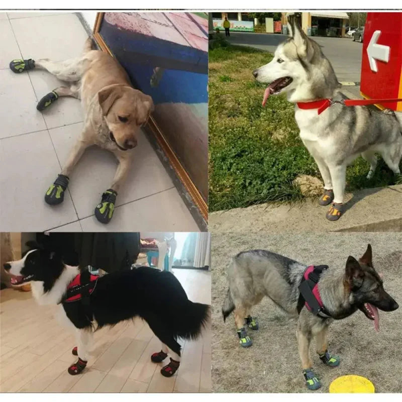 Bottines Chien de Traineau
