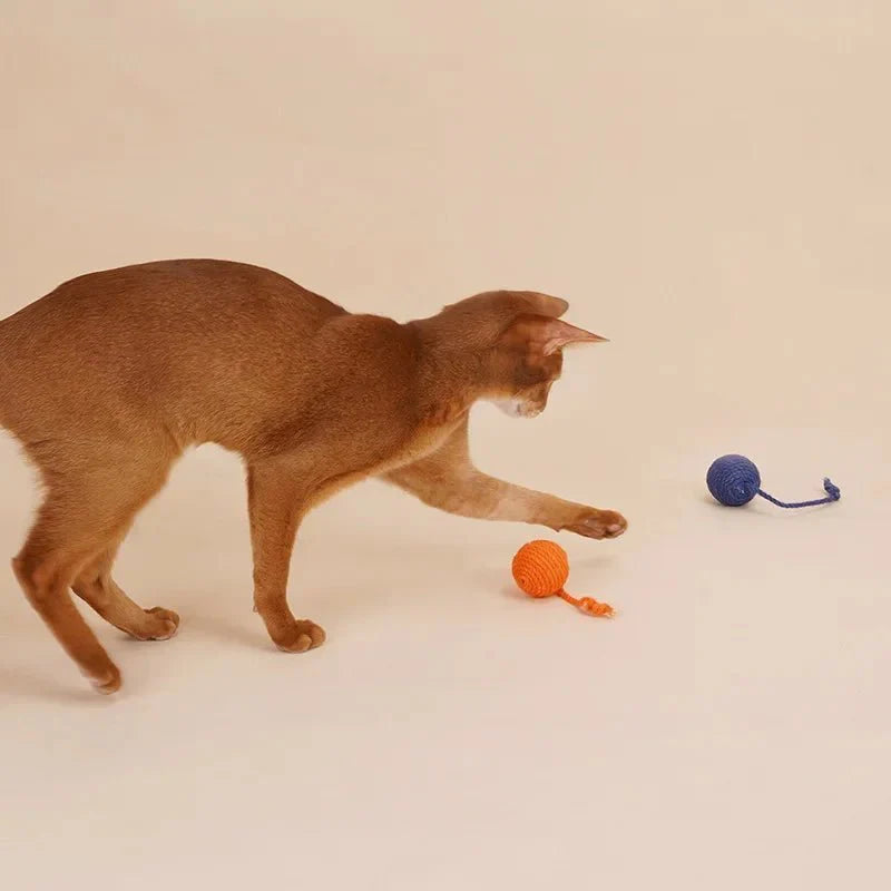 Boule À Gratter À Suspendre Pour Chat