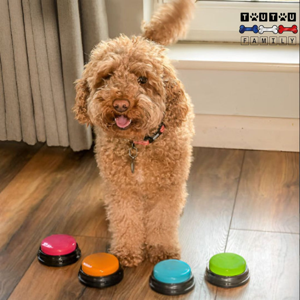 Bouton de communication chien - BuzzerToutou™