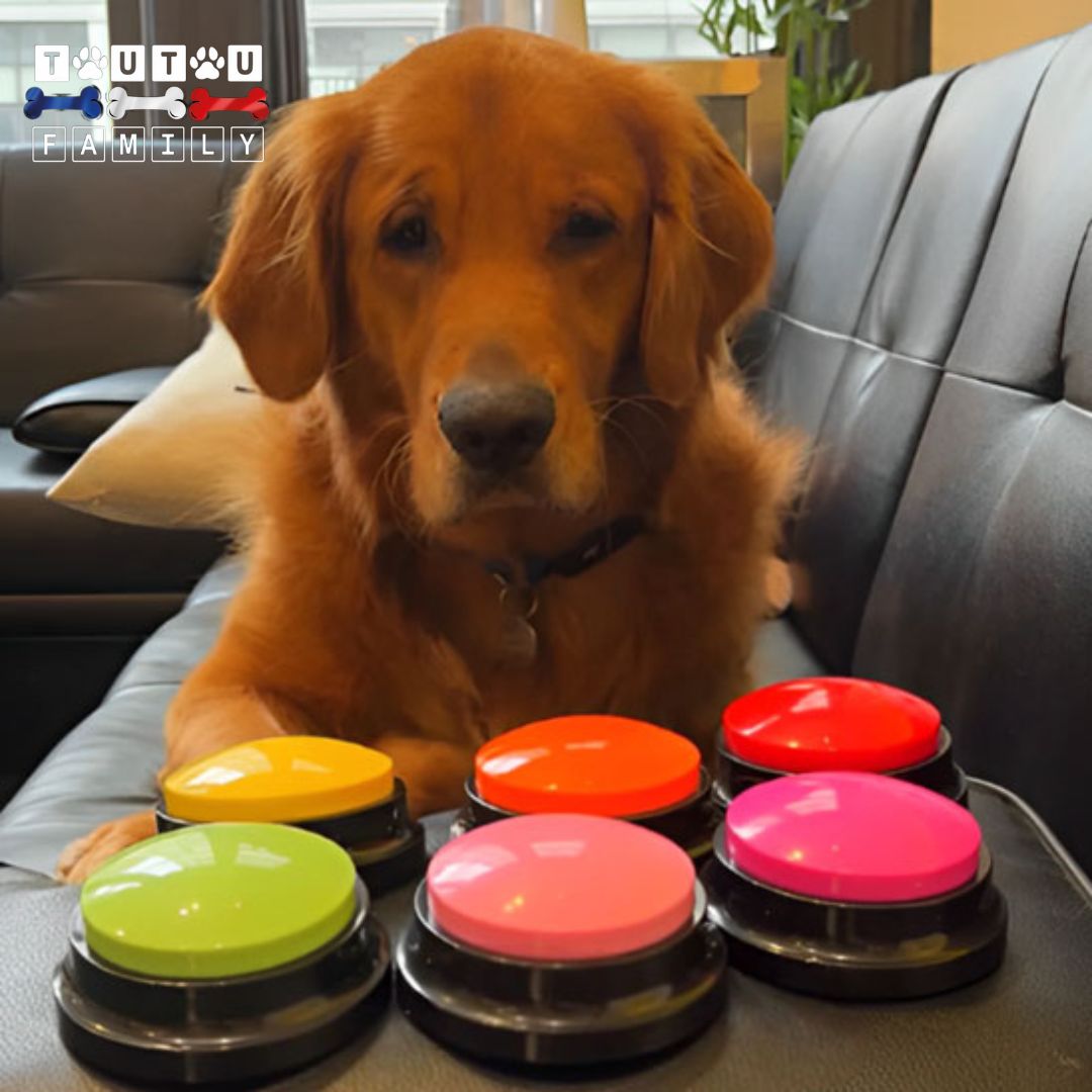 Bouton de communication chien - BuzzerToutou™