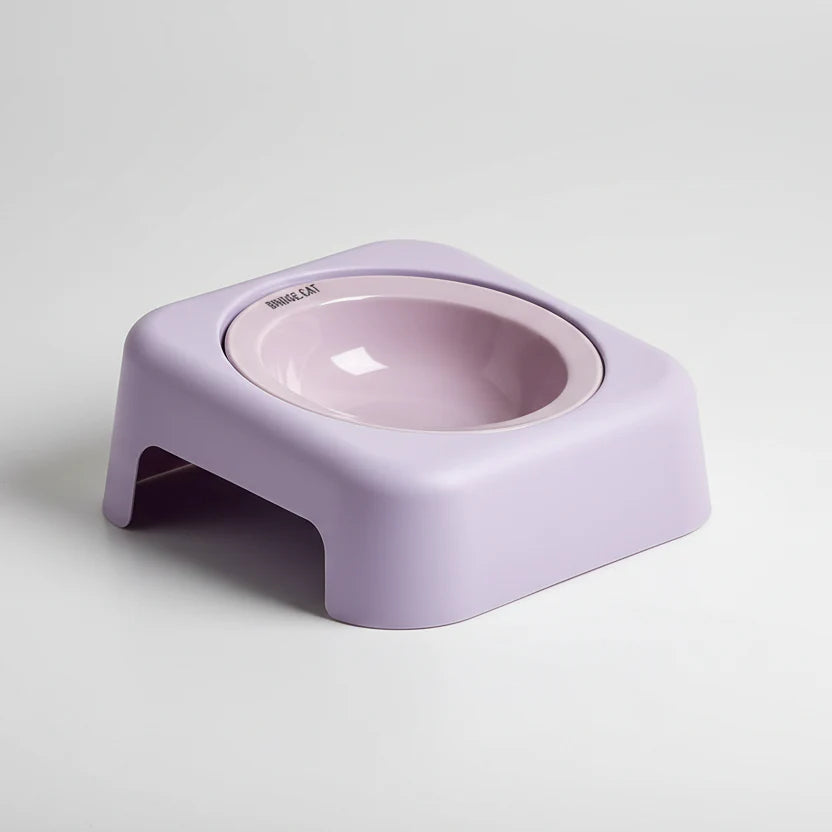 Gamelle Céramique Avec Support Incliné Pour Chat Et Petit Chien