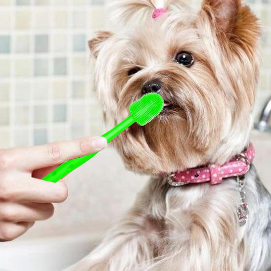 Brosse à dent chien - Mordisoin™