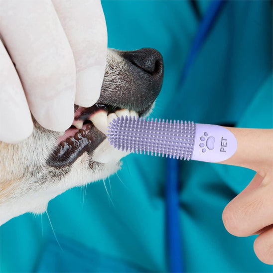 Brosse a dent pour chien - Denticlean™