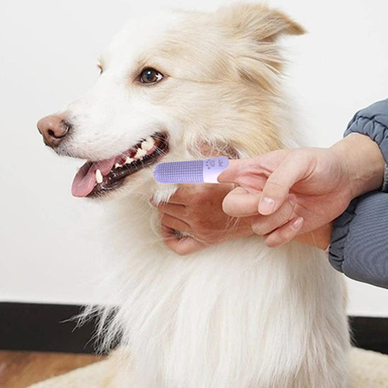 Brosse a dent pour chien - Denticlean™