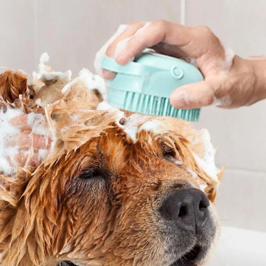 Brosse de bain pour chien | SpaPaw™