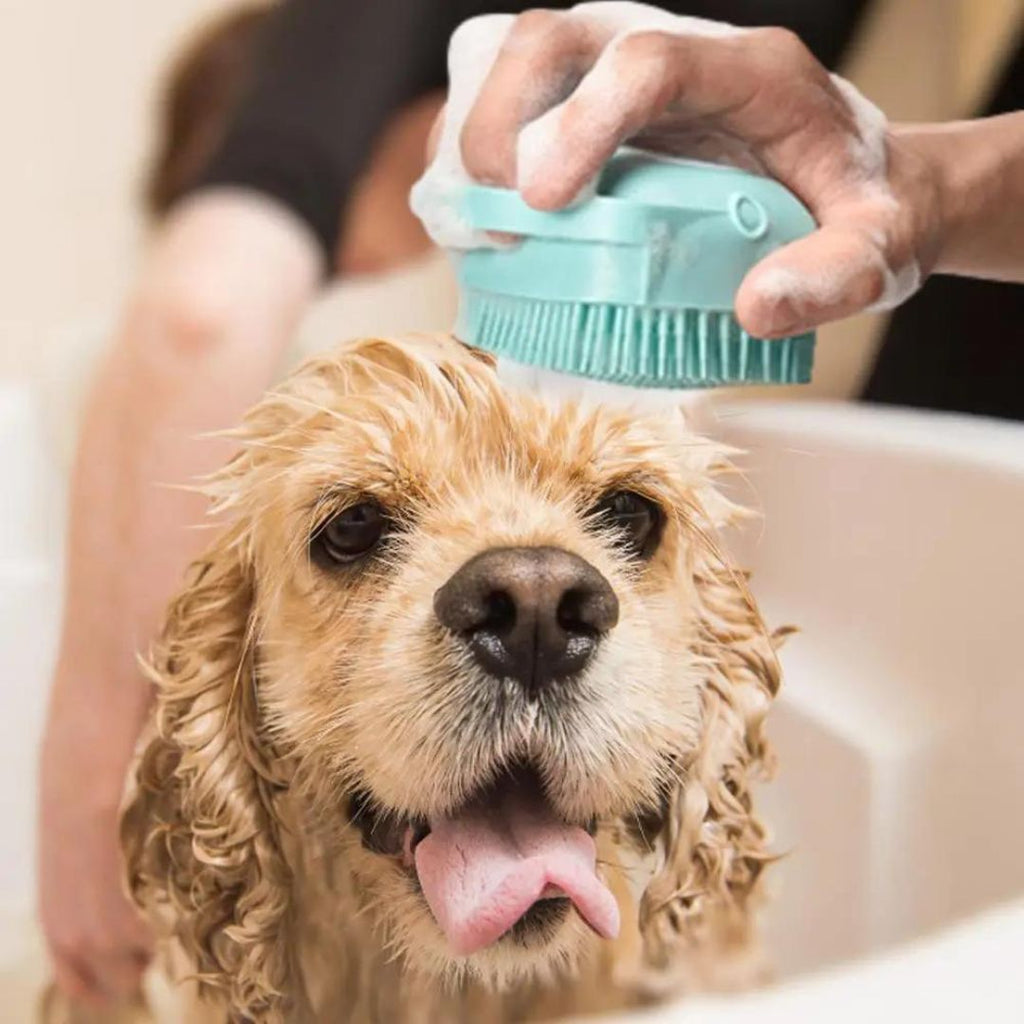 Brosse de bain pour chien | SpaPaw™