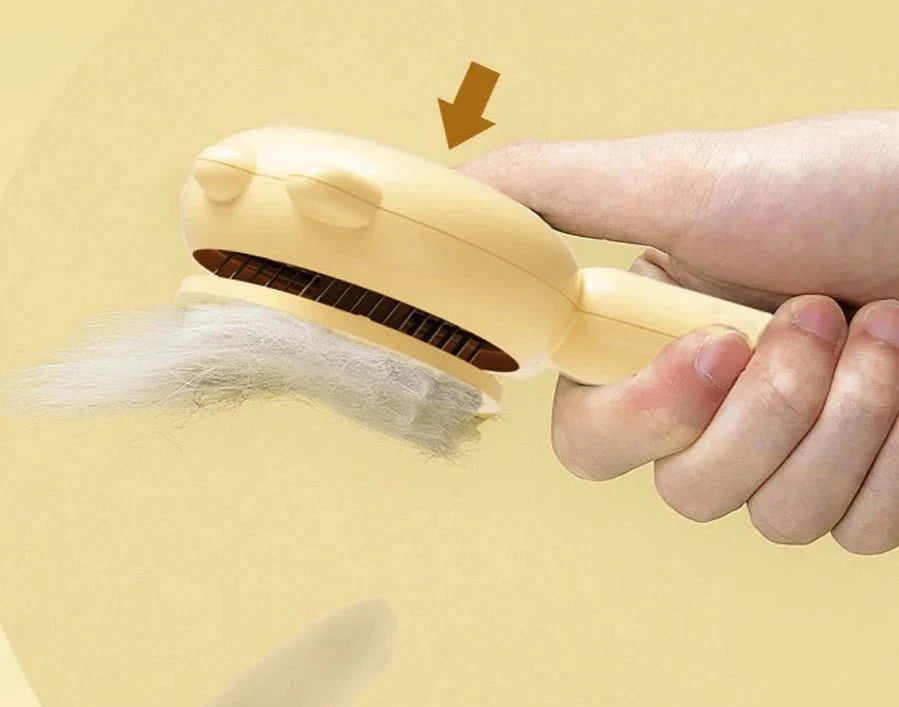 Brosse Poils Chat Douce Et Efficace