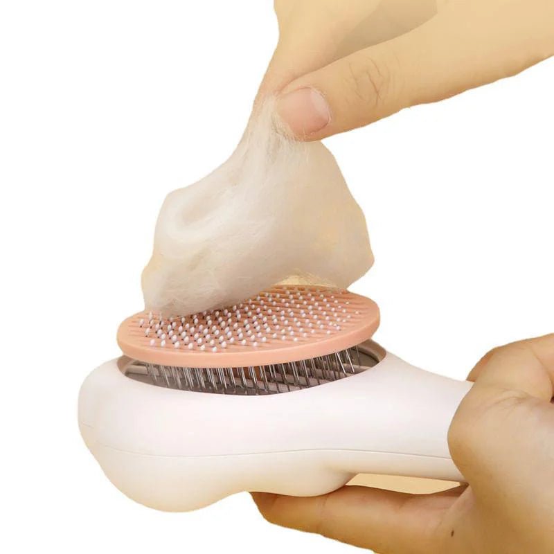 Brosse Poils Chien Chat Design et Confortable