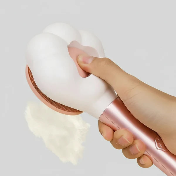 Brosse Poils Chien Chat Design et Confortable