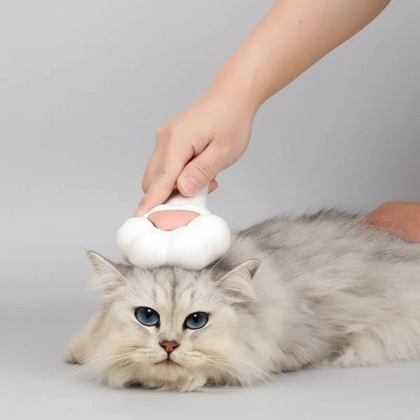 Brosse Poils Chien Chat Design et Confortable