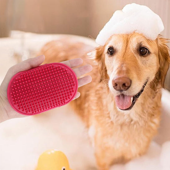 Brosse pour chien – Gant brosse pour poils courts & bain
