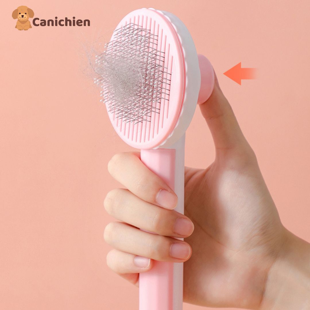 BROSSE POUR CHIEN | FurBuddy™