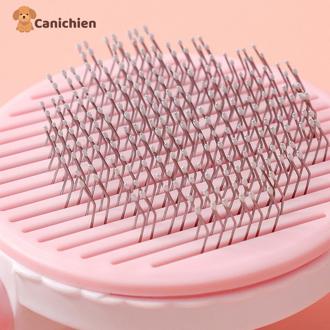 BROSSE POUR CHIEN | FurBuddy™