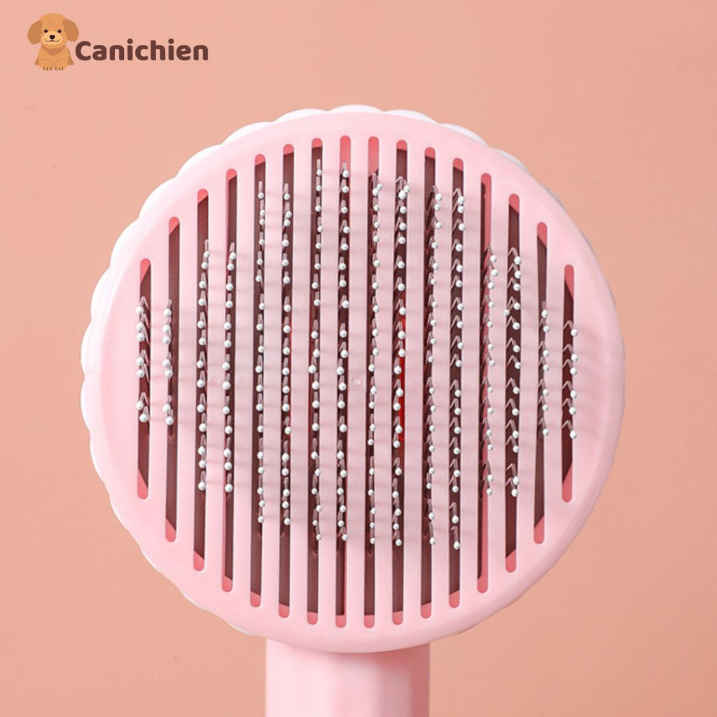 BROSSE POUR CHIEN | FurBuddy™
