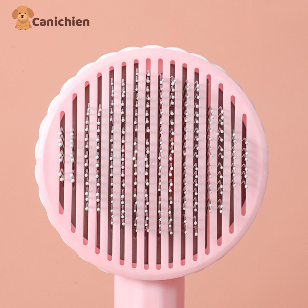 BROSSE POUR CHIEN | FurBuddy™