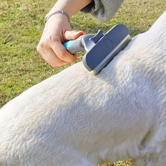 Brosse pour chien poil long - Sheddy™