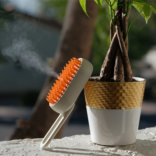 Brosse vapeur pour chien - MistCare™