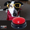 Buzzer-pour-chien-rouge-enregistrable-bouton-de-communication-pour-chien