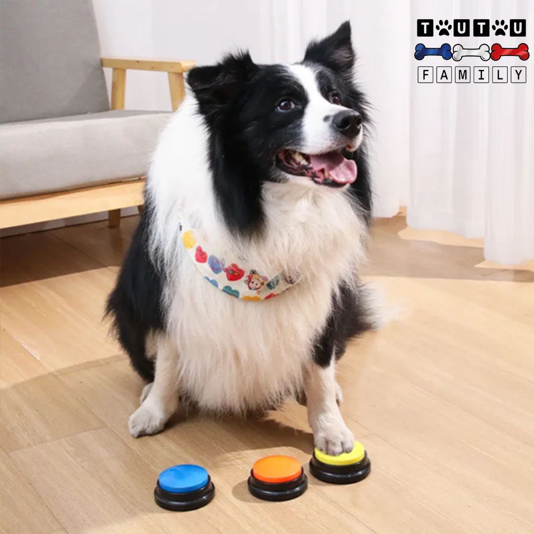 Buzzer pour chien - BoutonToutou™