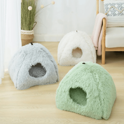 cabane chat igloo