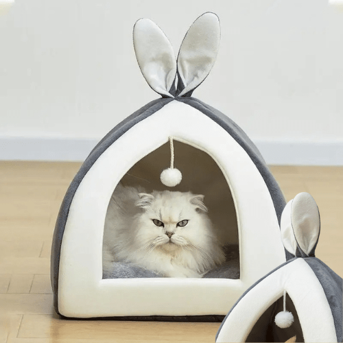 cabane pour chat oreilles de lapin