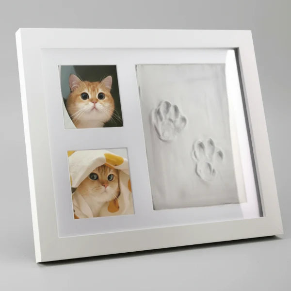 Kit Cadre Photos Et Empreintes Chien Et Chat