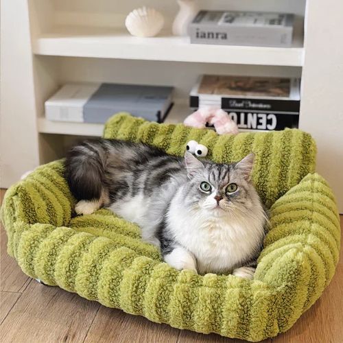 canapé pour chat rayé