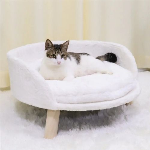 canapé pour chat surélevé luxe