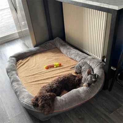 CANAPÉ POUR CHIEN – ORTHOCANAP™
