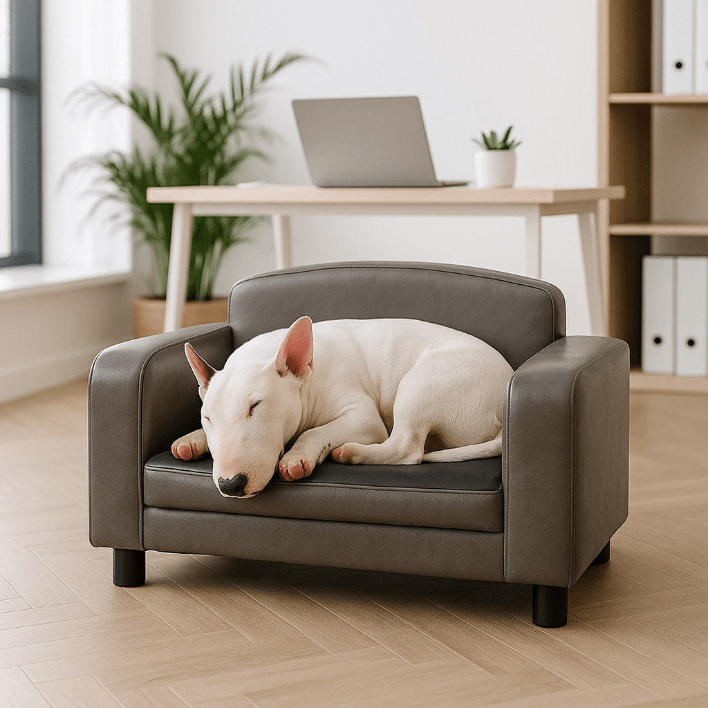 Canapé pour chien - ImperméableToutou™